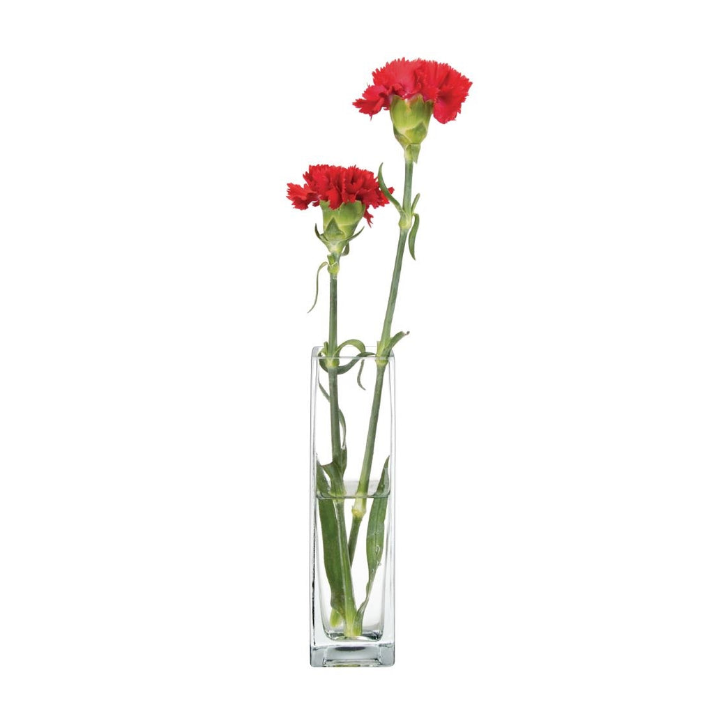 Square Bud Vase (Pack of 6) by Olympia - Lordwell Catering Equipment