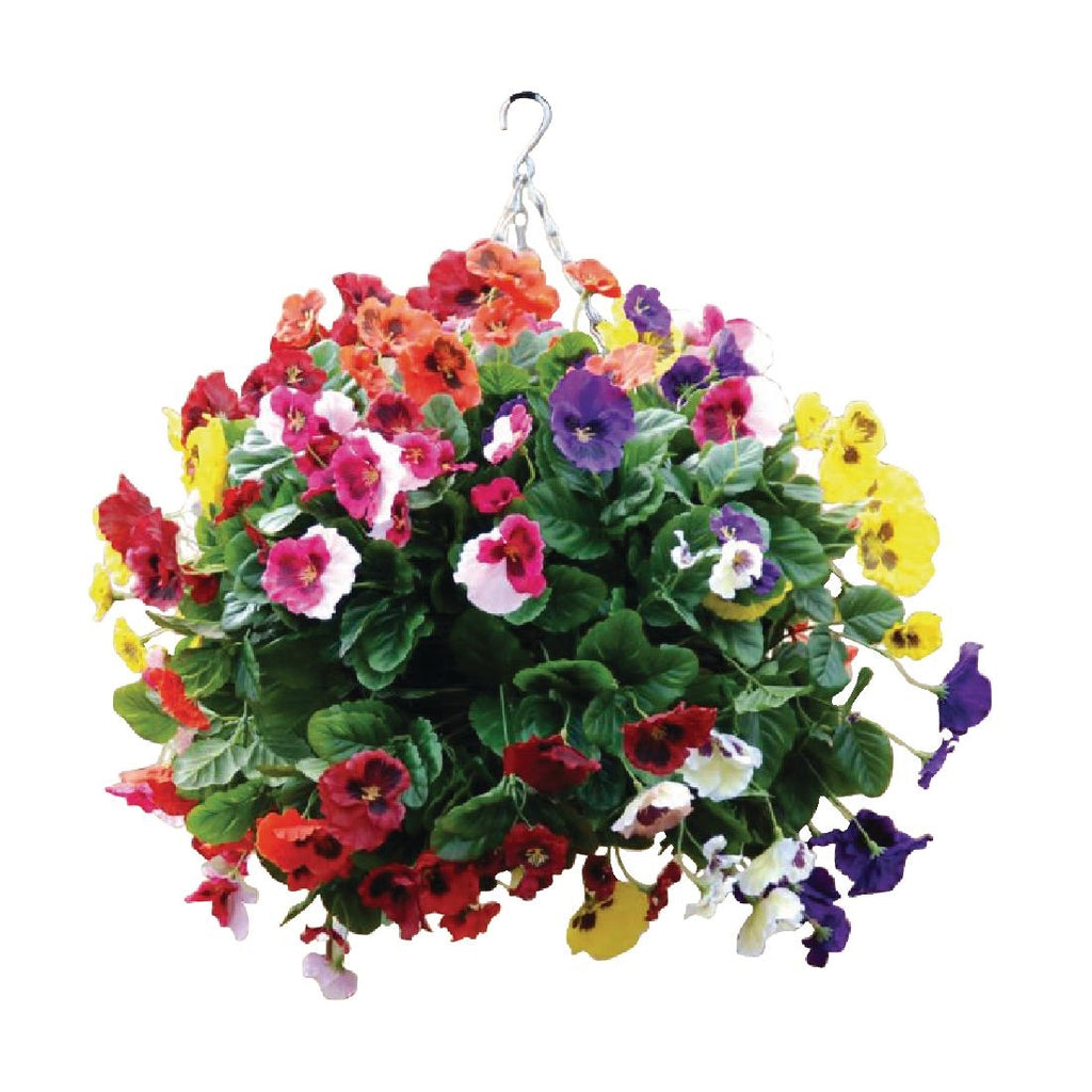 22" Mixed Colours Pansy Ball by Bolero - Lordwell Catering Equipment