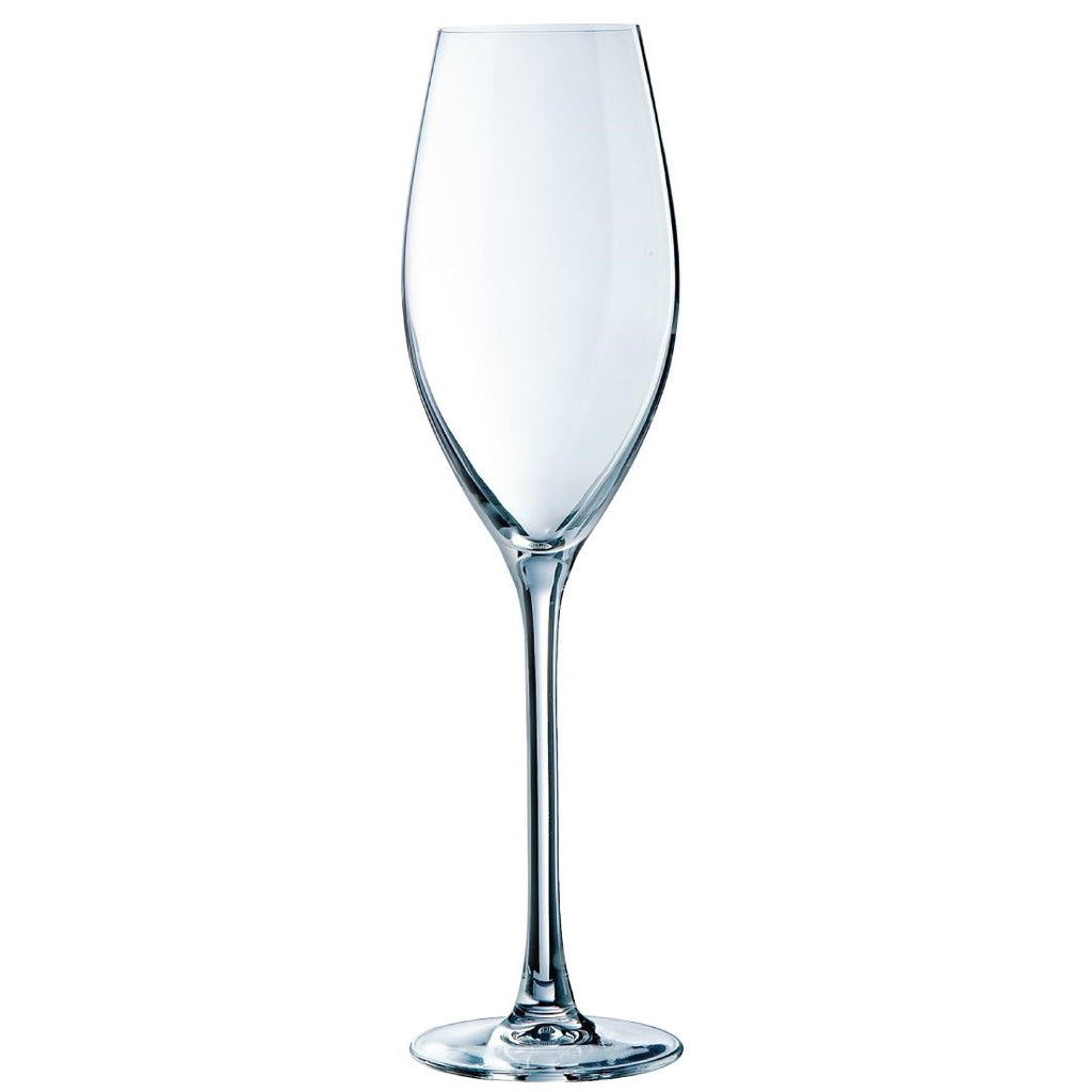 Chef & Sommelier Grand Cepages Champagne Flutes 240ml (Pack of 24) by Chef & Sommelier - Lordwell Catering Equipment
