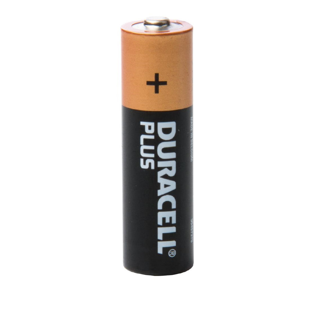 Duracell AA Batteries (Pack of 4) GG048