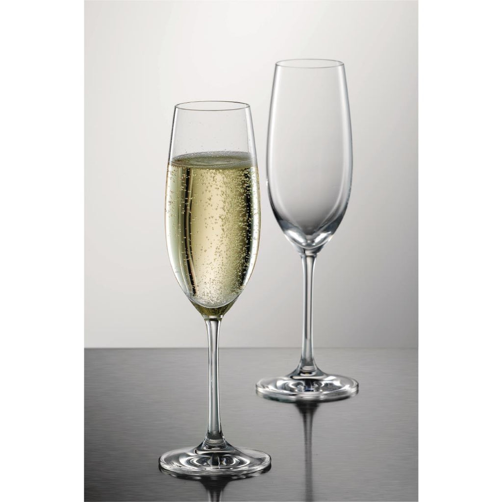 Schott Zwiesel Ivento Champagne flute 230ml (Pack of 6) GL137